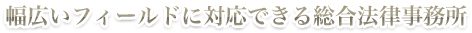 幅広いフィールドに対応できる総合
Lawyer事務所